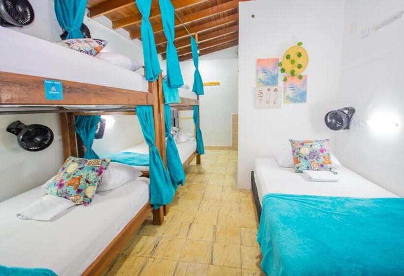 اتاق خانوادگی, Spring Hostel