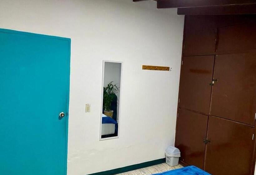 اتاق استاندارد با سرویس بهداشتی مشترک, Spring Hostel