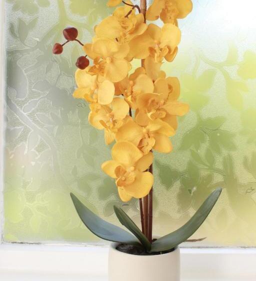 غرفة عائلية, Kings Head Inn