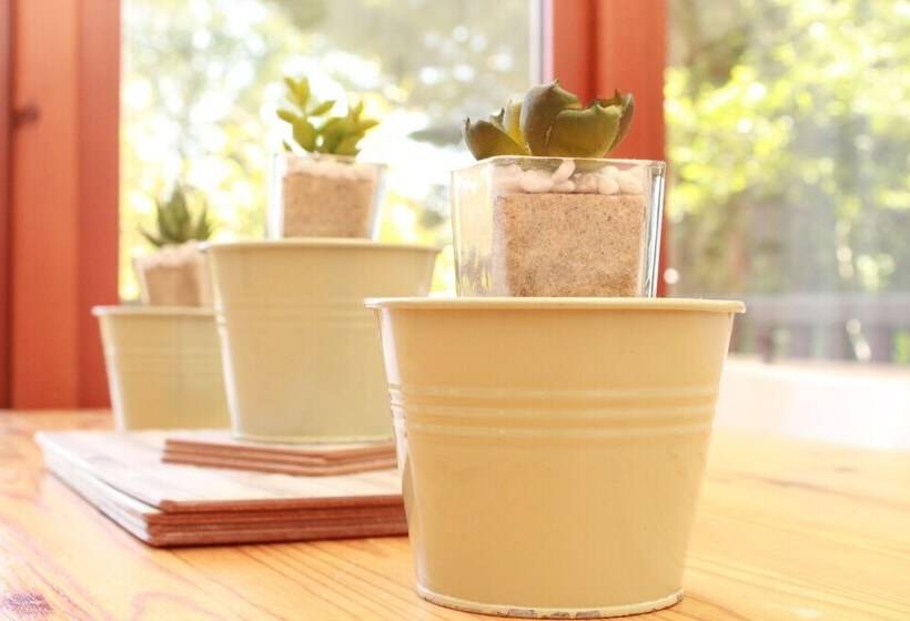 شقة غرفة واحدة, Kings Head Inn