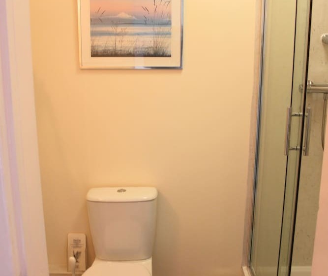 اتاق استاندارد یک نفره, The Olive Branch