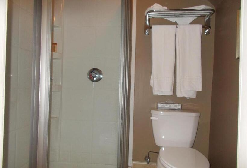 غرفة قياسية, Debary Inn