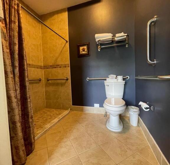 장애인을 위한 스탠다드 룸, Debary Inn
