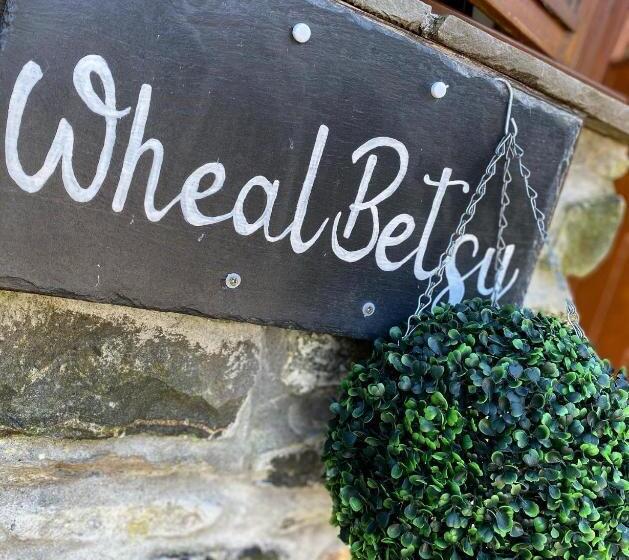 חדר סופריור עם מיטת קינג, The Mary Tavy Inn