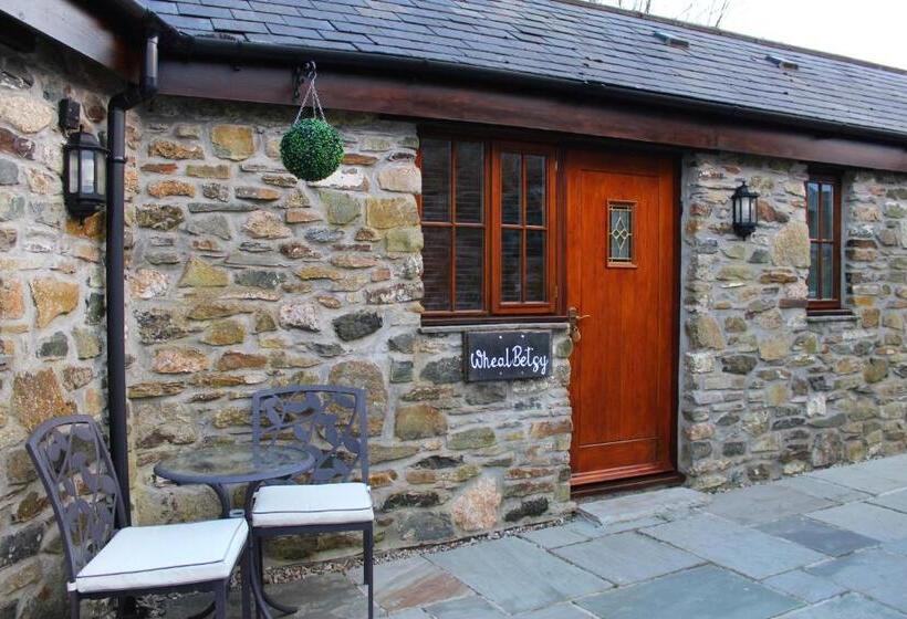 Номер Superior Кровать Кинг, The Mary Tavy Inn