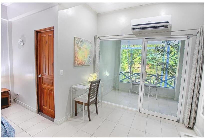 スタンダードルーム, Plaza Yara