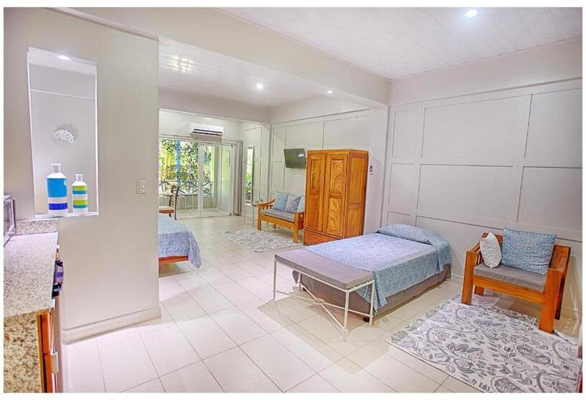 スタンダードルーム, Plaza Yara