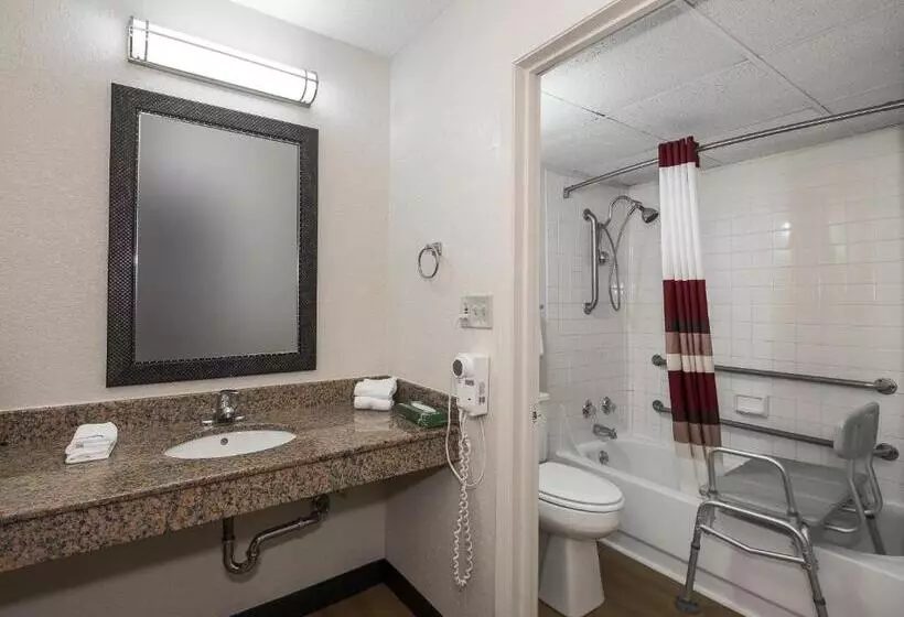 デラックスルーム, Red Roof Inn Bloomington  Normal/ University