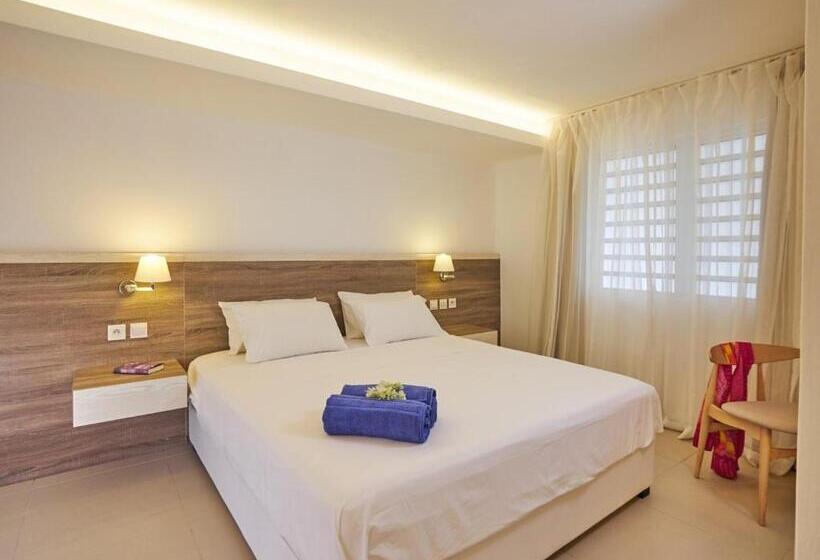 استودیو استاندارد با چشم‌انداز باغ, Le Beachclub