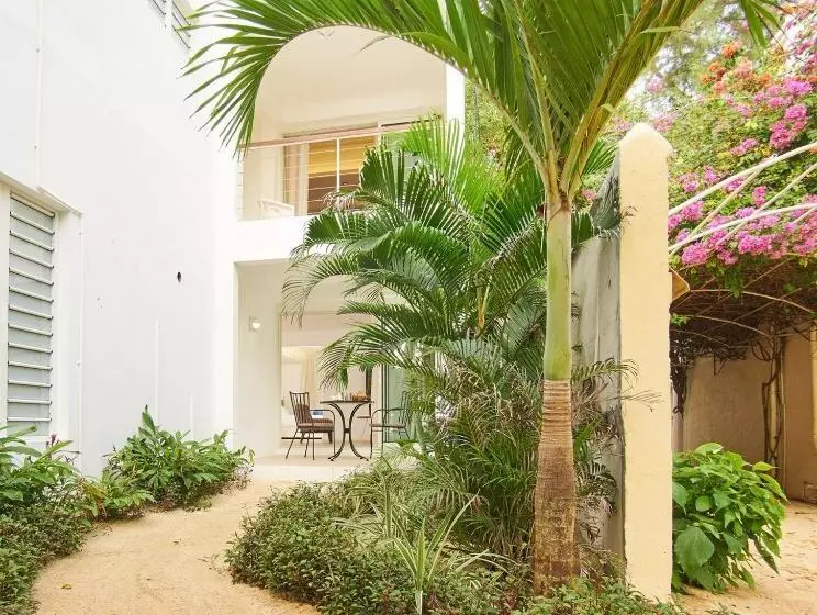 استودیو استاندارد با چشم‌انداز باغ, Le Beachclub