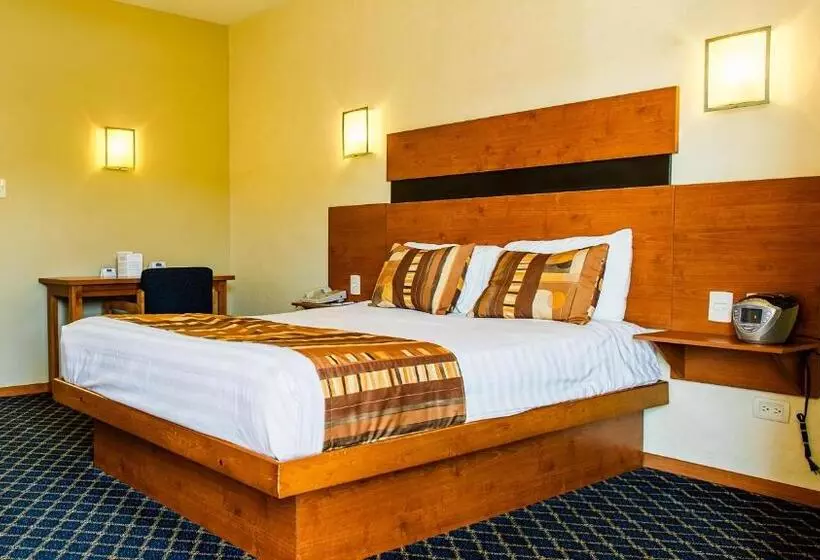 スタンダードルーム, American Inn Hotel & Suites Delicias