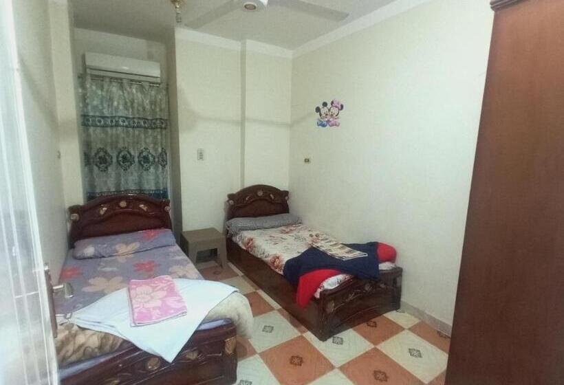 اتاق استاندارد یک نفره, Aswan City Center Guest House
