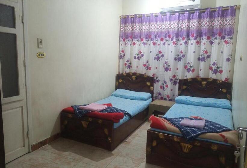 اتاق استاندارد یک نفره, Aswan City Center Guest House