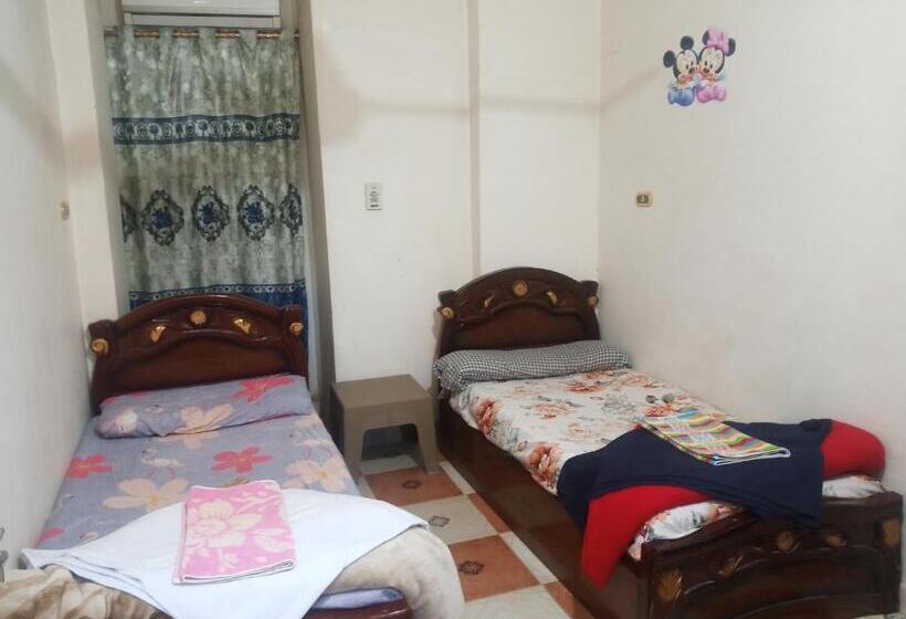 اتاق استاندارد یک نفره, Aswan City Center Guest House