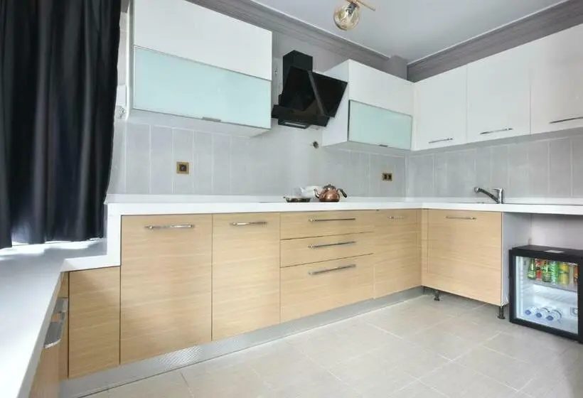 اتاق سوپریور, Istanbul Airport Treekos Suite