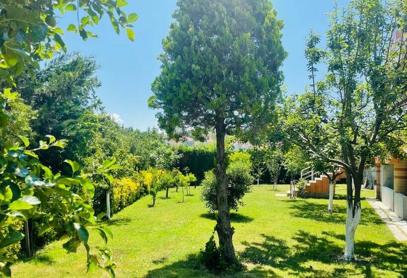 غرفة سوبيريور, Istanbul Airport Treekos Suite