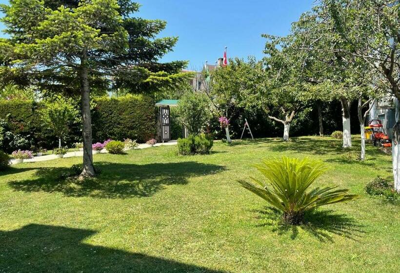 غرفة سوبيريور, Istanbul Airport Treekos Suite