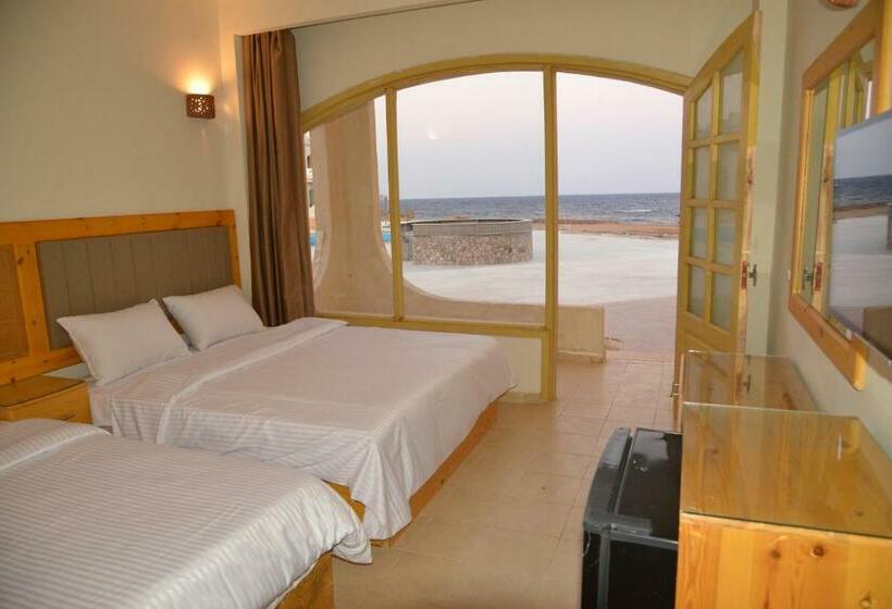 Economy-huone, Zain Dive Inn