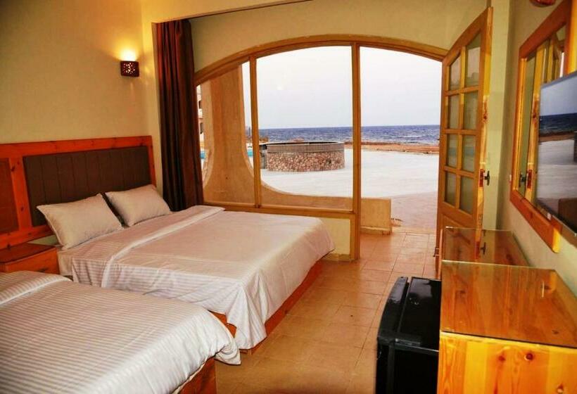 Standard Kolmen Hengen Huone, Zain Dive Inn