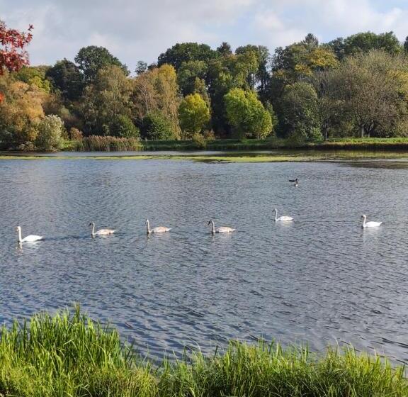 غرفة قياسية, Pension Weidengrund