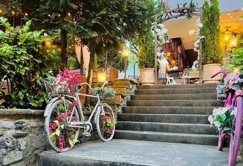 شقة غرفة واحدة, Andesite Boutique Residence