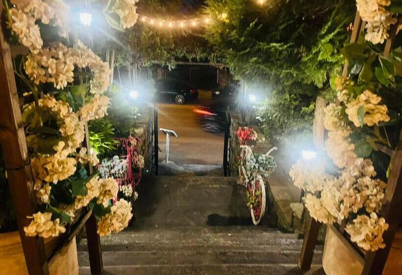 شقة غرفة واحدة, Andesite Boutique Residence