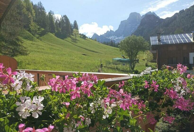 غرفة قياسية, Garní Ladinia