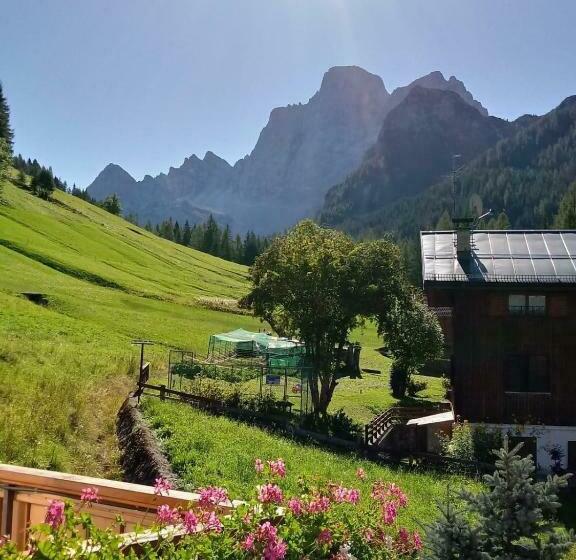 غرفة قياسية, Garní Ladinia