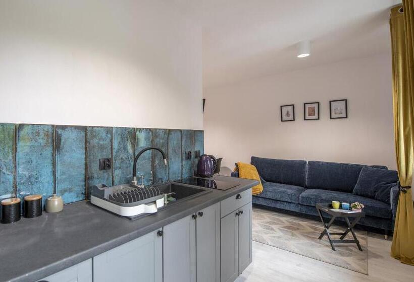 带1个卧室带观景的公寓, Apartamenty śnieżna 12 Lądek  Zdrój