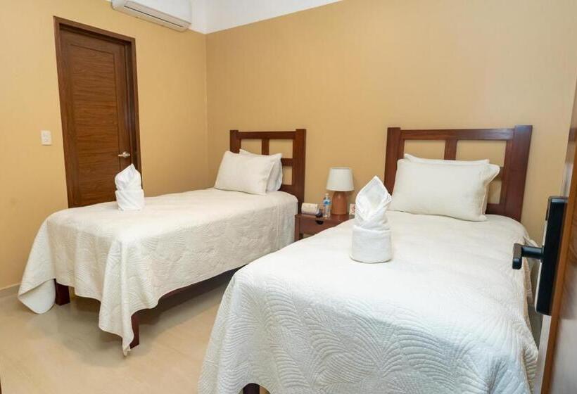 标准间, The Garden