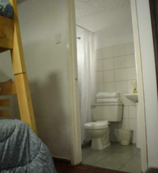 标准三人间, Finca Verde Vivo