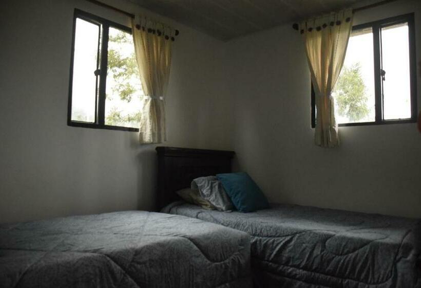 经济房, Finca Verde Vivo