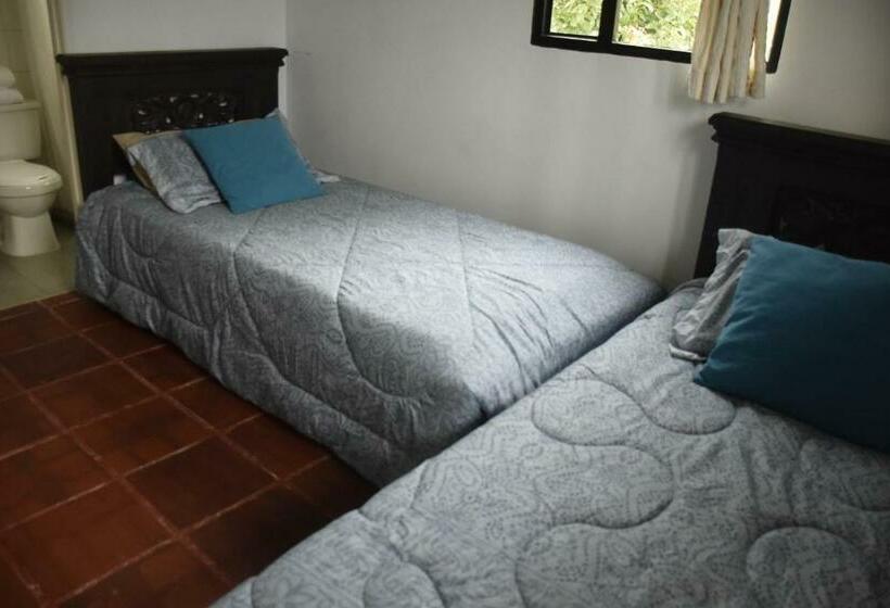 经济房, Finca Verde Vivo