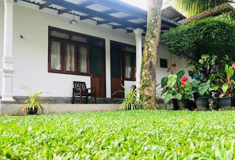 豪华家庭房间, Waves