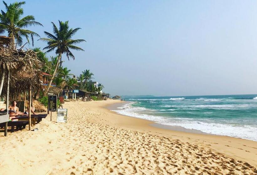 豪华家庭房间, Waves