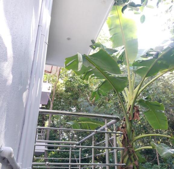 חדר משפחתי דלוקס, Sharma Jee Farmhouse