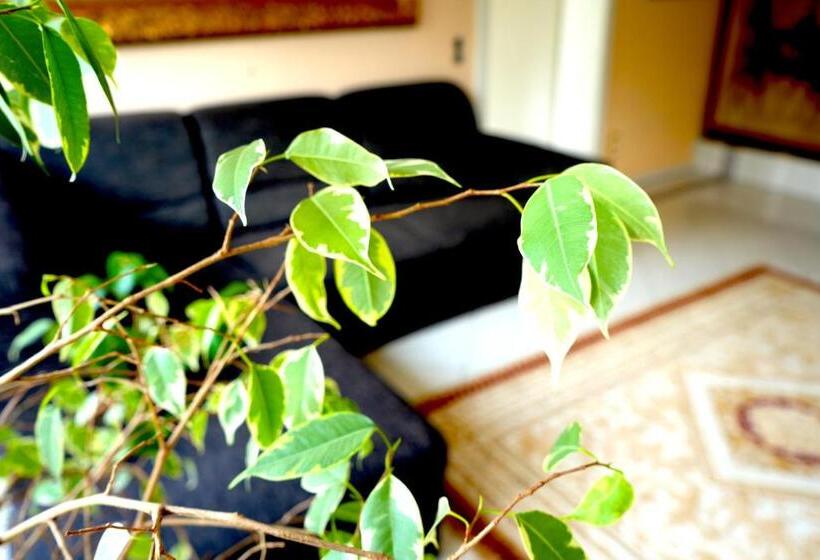 Апартаменты 3 Спальни, Dreamly Suites