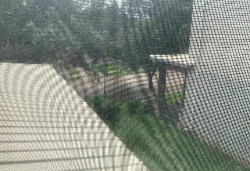 غرفة قياسية سرير كينج, Bayberry House Bed And Breakfast