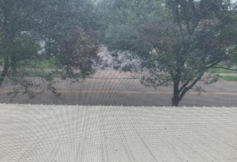 غرفة قياسية سرير كينج, Bayberry House Bed And Breakfast