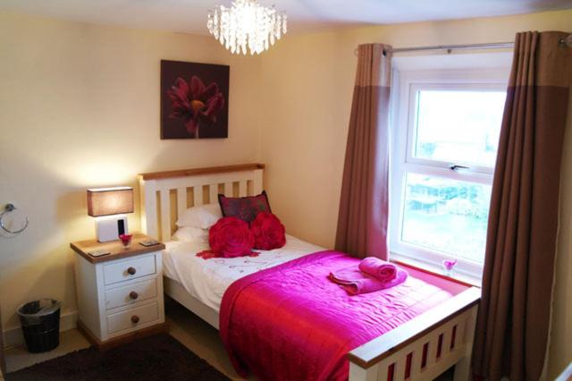 스탠다드 싱글 룸 공동욕실, Bay Tree House