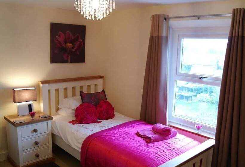 스탠다드 싱글 룸, Bay Tree House