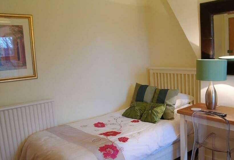 스탠다드 싱글 룸, Bay Tree House