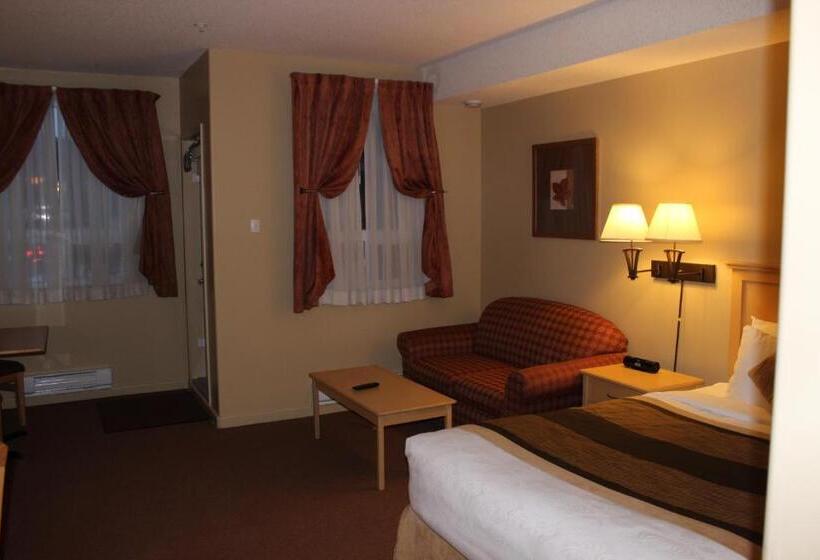 חדר סטודיו סטנדרד, Clearwater Hotel Ltd