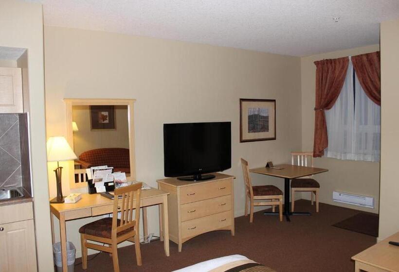 חדר סטודיו סטנדרד, Clearwater Hotel Ltd