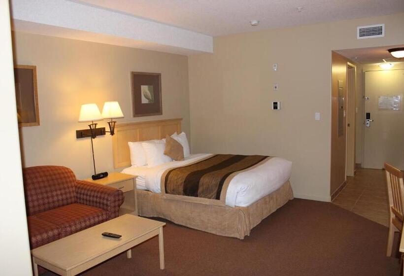 חדר סטודיו סטנדרד, Clearwater Hotel Ltd