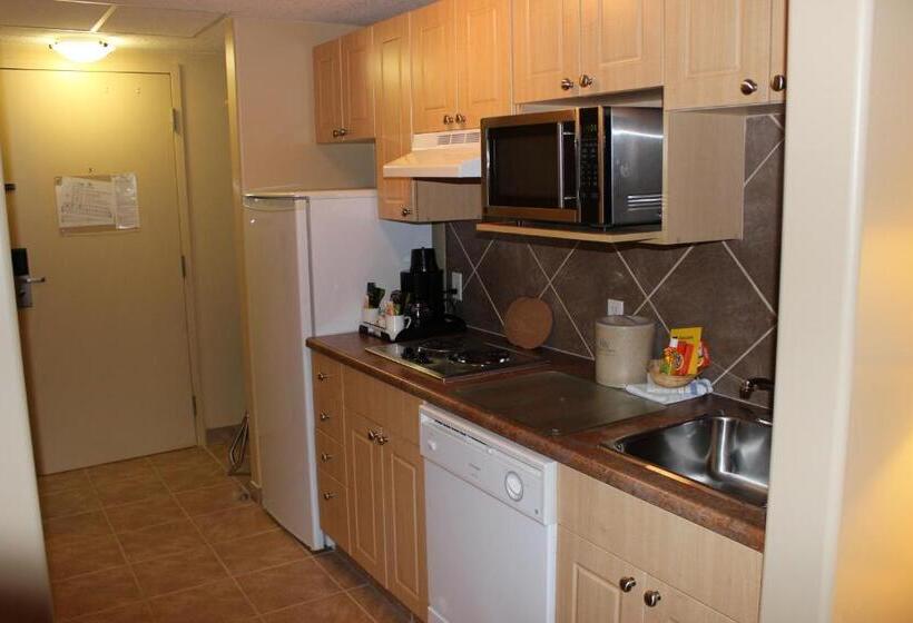 חדר סטודיו סטנדרד, Clearwater Hotel Ltd