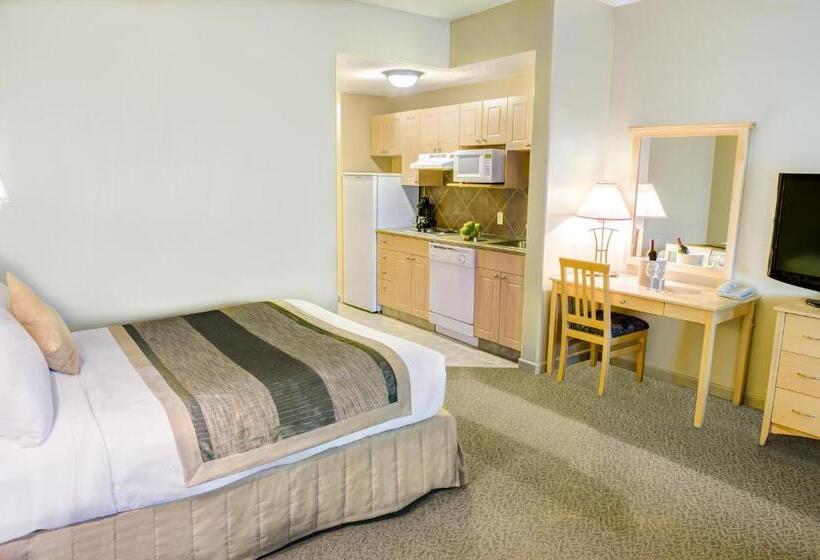 Студия Стандарт, Clearwater Hotel Ltd