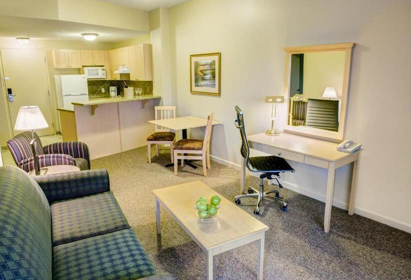 סוויטה, Clearwater Hotel Ltd