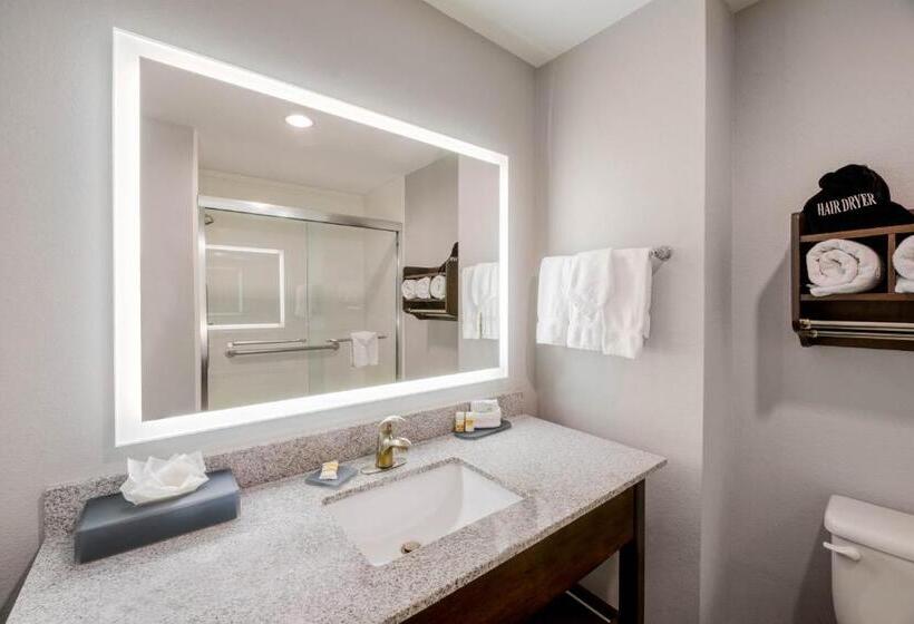 キングサイズベッドのデラックスルーム, La Quinta By Wyndham Fort Worth Eastchase