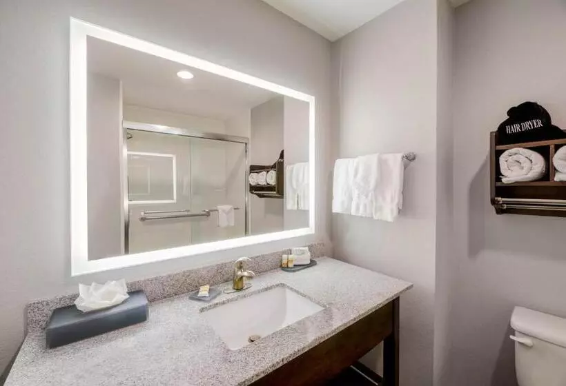 キングサイズベッドのデラックスルーム, La Quinta By Wyndham Fort Worth Eastchase